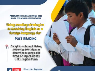 Programa de mejora continua en el uso de las estrategias metodológicas - Competencia “Lee diversos tipos de textos en inglés como lengua extranjera”